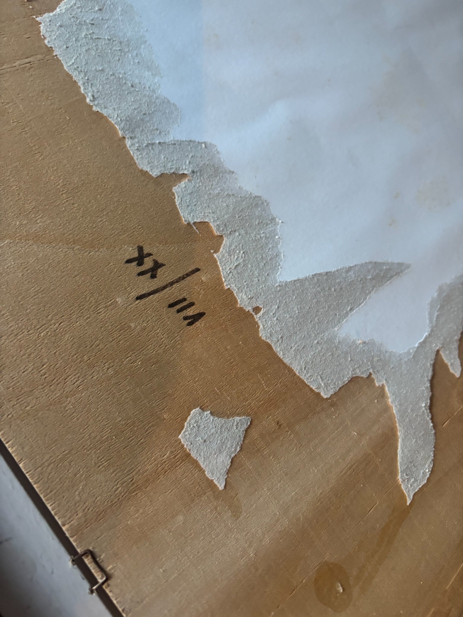 Silkscreen of Venice by Remo Brindisi 1970s