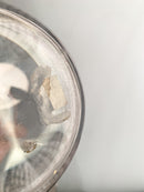 Lalique Crystal Vase, San Diego Model, 1940s