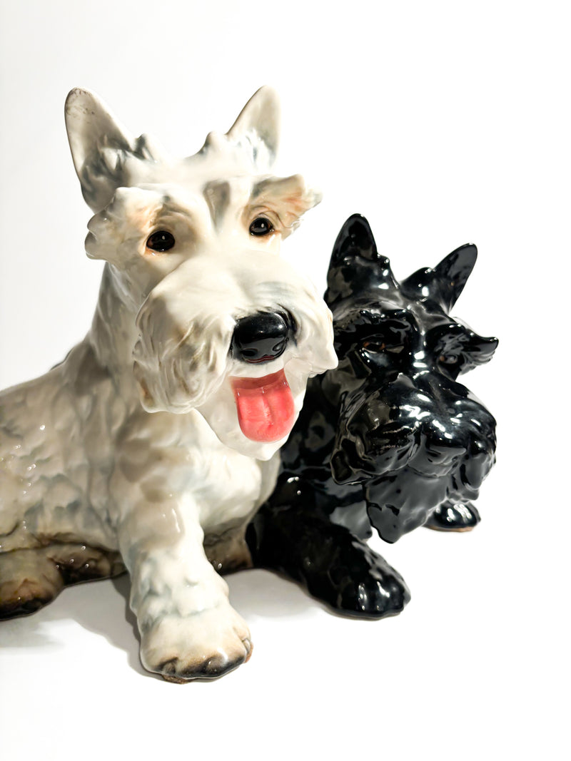 Scultura di Cani Scottish Terrier in Ceramica di Goebel Anni 70