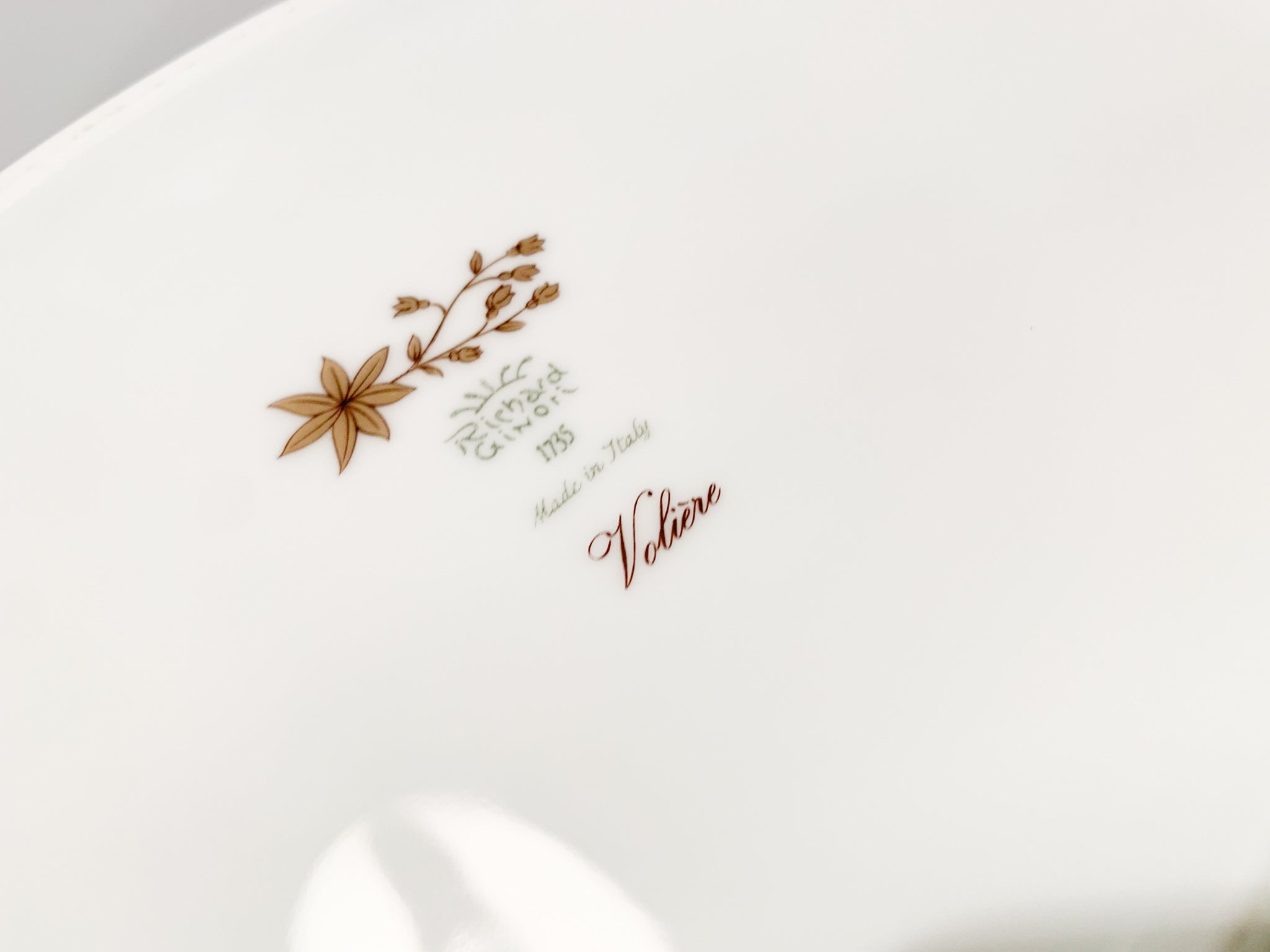 Vaso Volière Ellittico in Porcellana di Ginori 1735