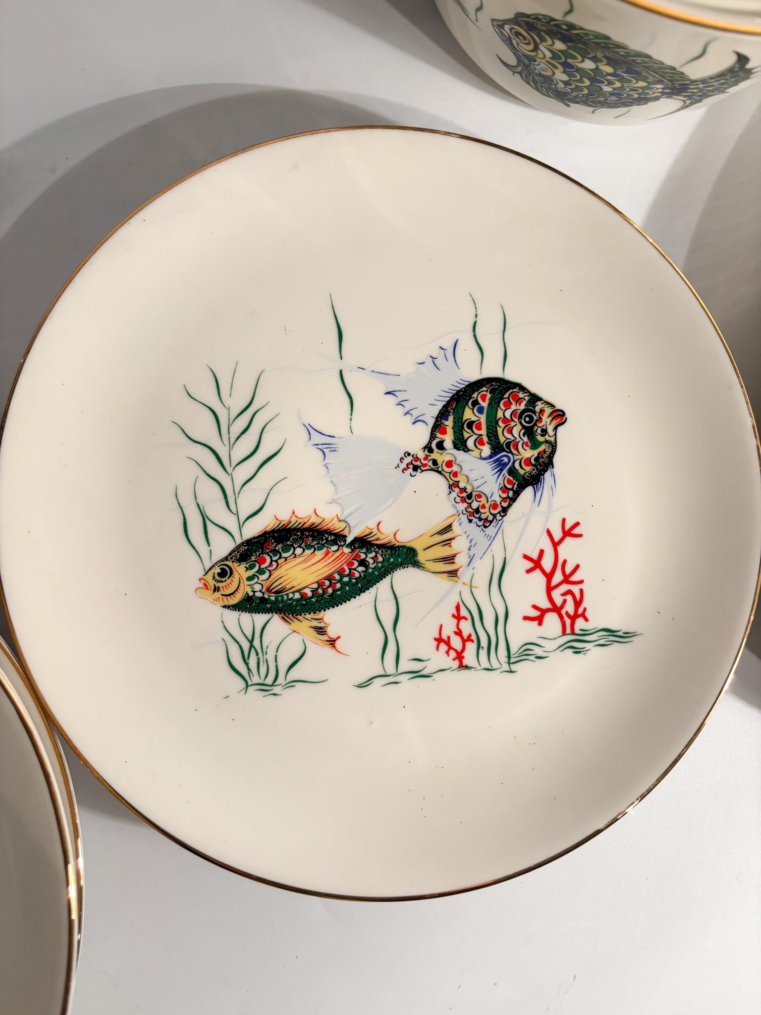 Service of Six Plates and Fish Soup Tureen in Bavarian Ceramic 80s