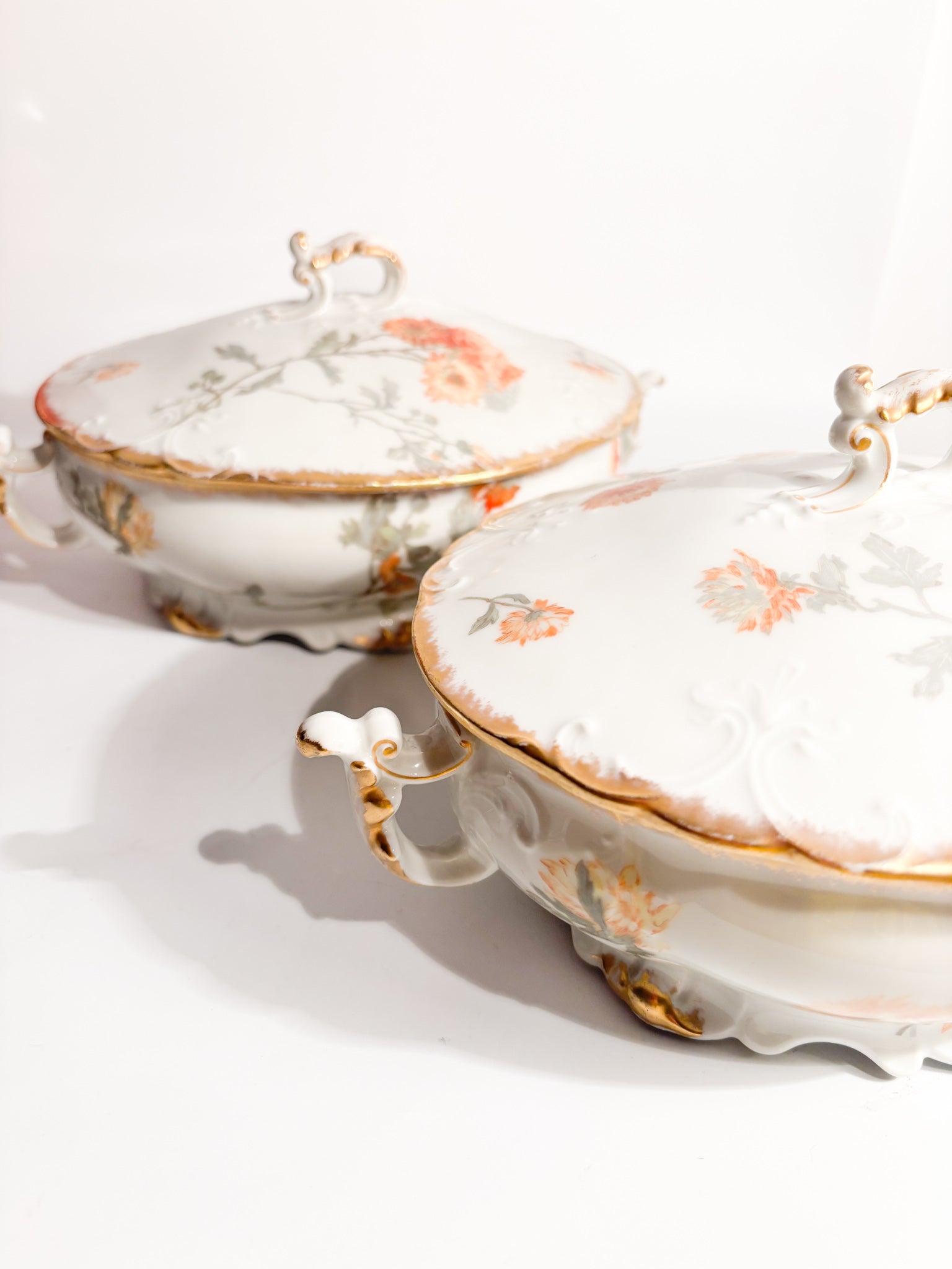 Pair of Limoges Porcelain Soup Tureens Hand-Painted 1960s