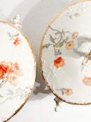 Pair of Limoges Porcelain Soup Tureens Hand-Painted 1960s