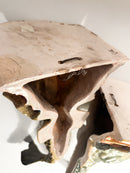 Coppia di Mensole in Ceramica del Centro Italia a Forma di Pesce XIX Secolo