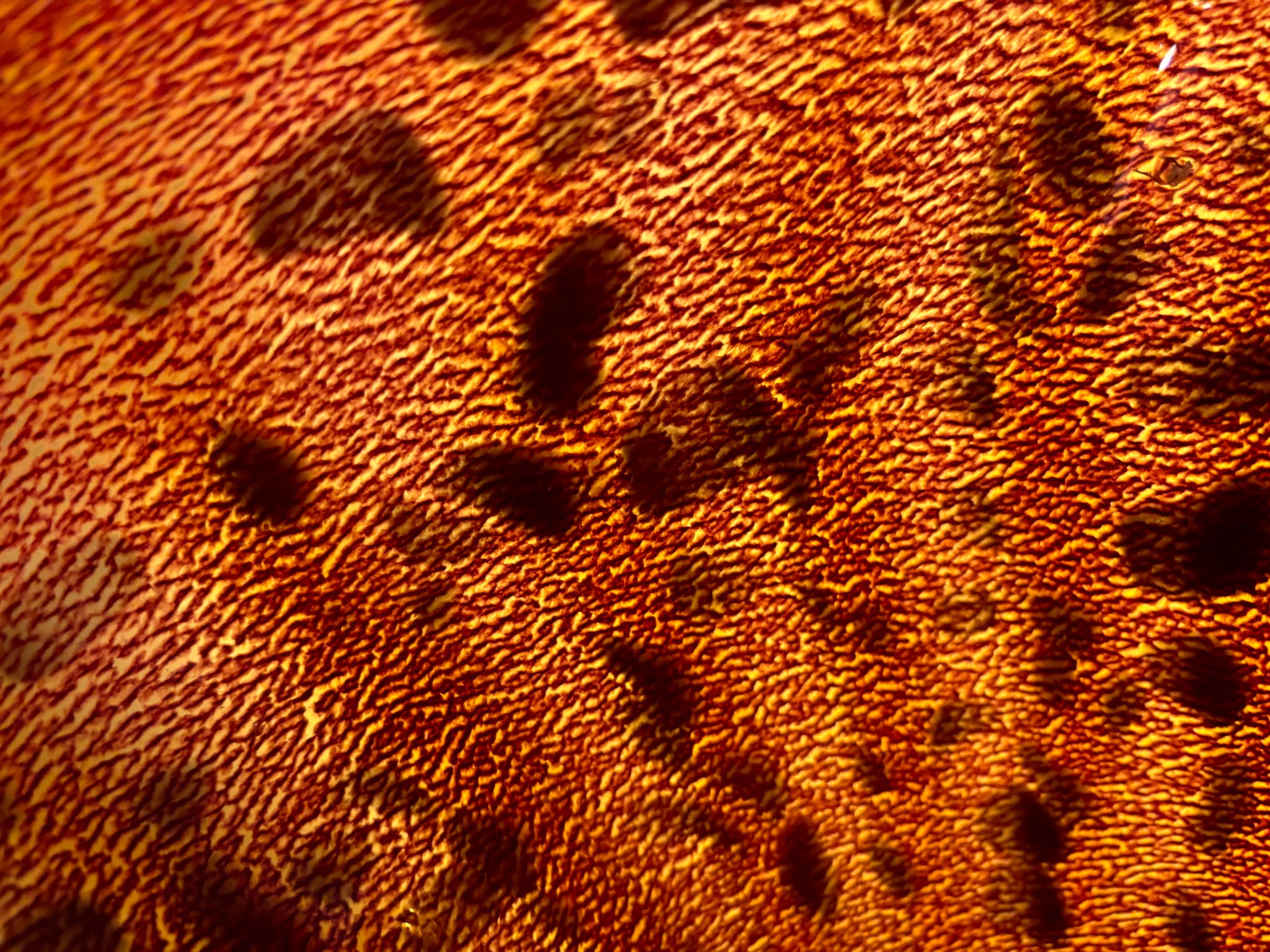 Orange and Golden Spotted Murano Glass Vase from the 1980s