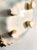 Centrotavola in Ceramica di Colonnata Dipinta a Mano Anni 50