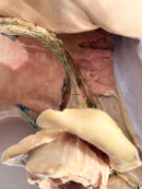 Mensola da Parete in Ceramica con Putto e Conchiglia XIX Secolo