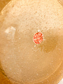 Vaso Caraffa in Vetro di Murano Pulegoso di Archimede Seguso Anni 50