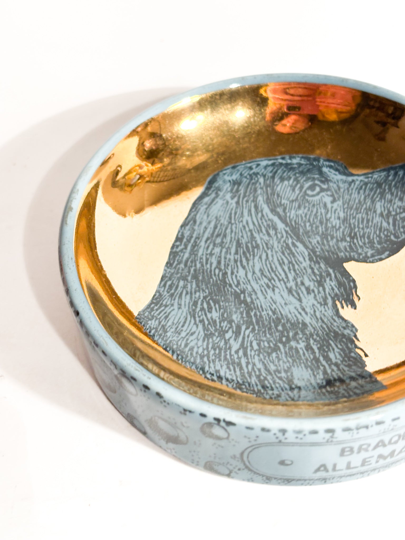Ciotola per Cani in Ceramica "Braque Allemand" di Piero Fornasetti Anni 60