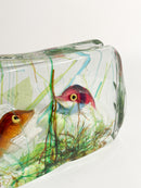 Acquario in Vetro di Murano di Cenedese con Figure Marine Anni 50