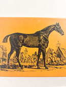 Scatola da Collezione Piero Fornasetti con Cavallo in Metallo e Legno Anni 50