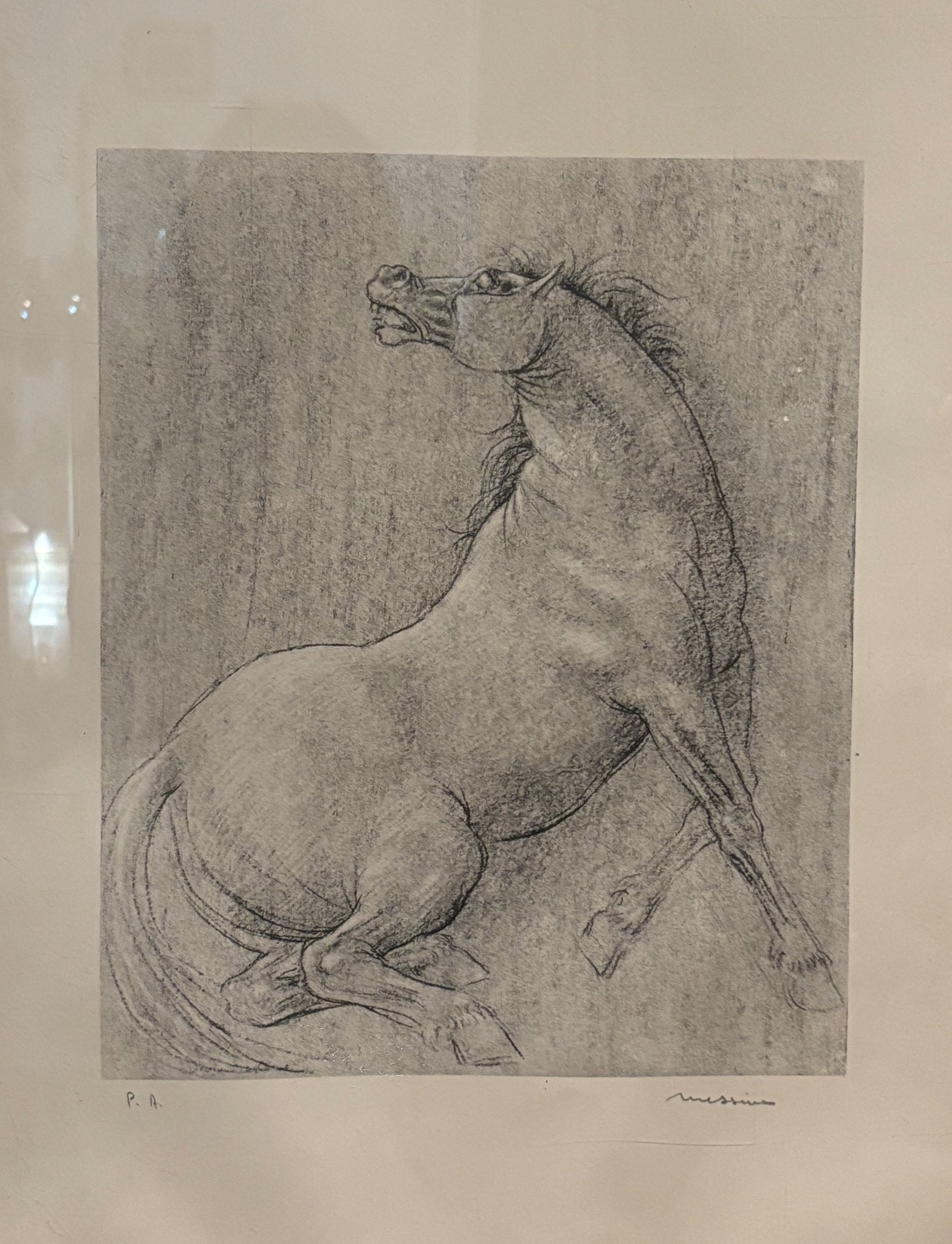 Lithograph of Horse by Francesco Messina 1960s