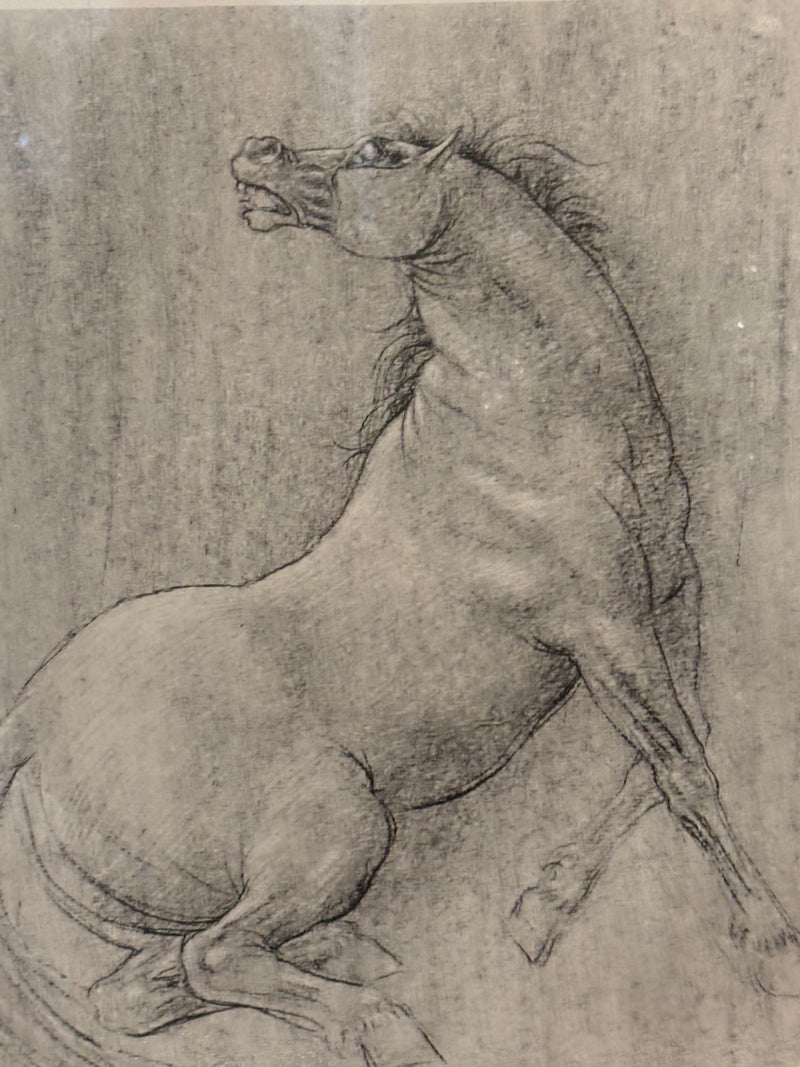 Lithograph of Horse by Francesco Messina 1960s