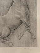 Litografia di Cavallo di Francesco Messina Anni 60