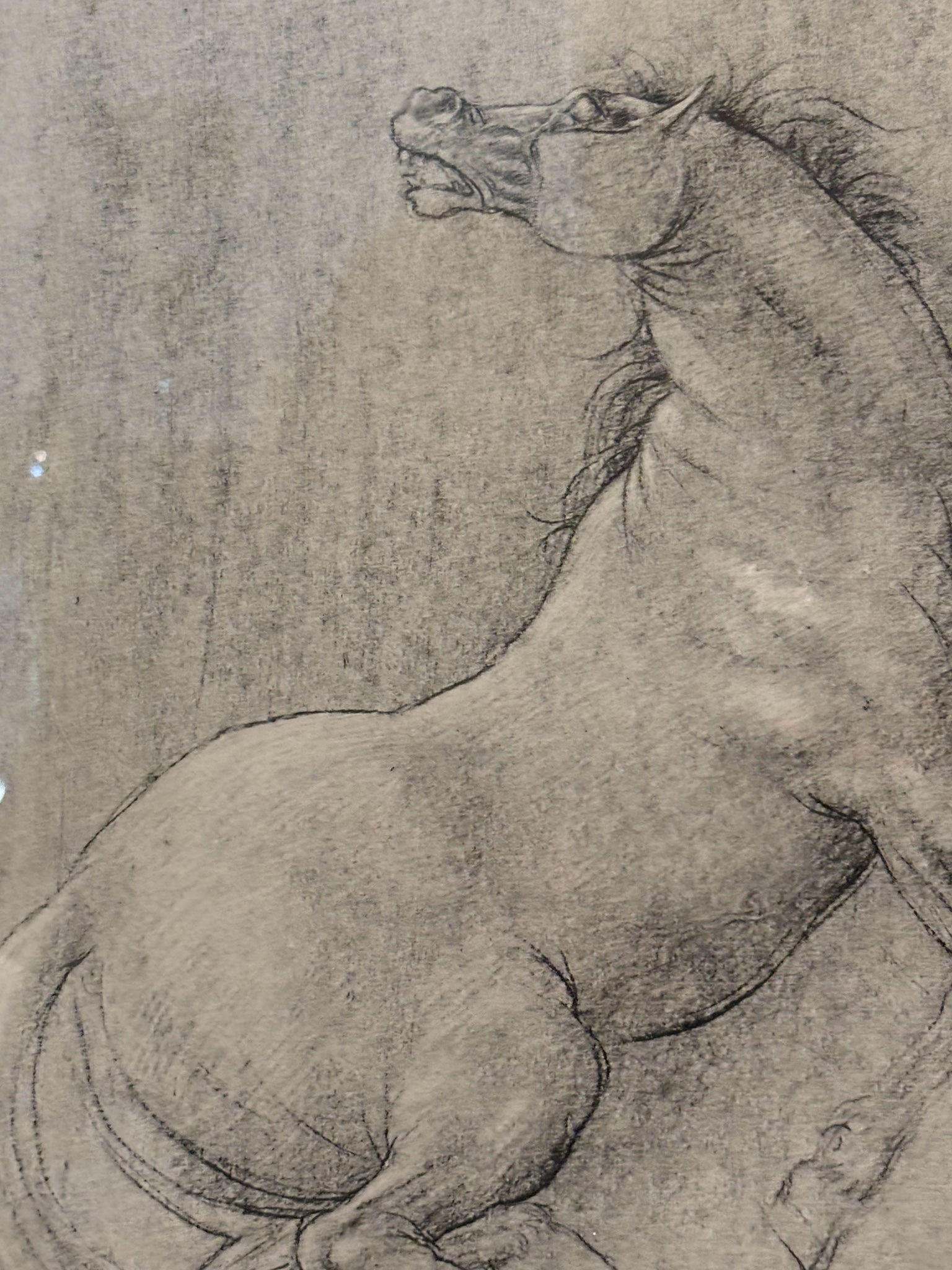 Lithograph of Horse by Francesco Messina 1960s