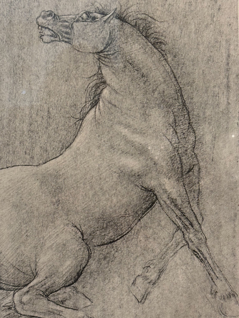 Lithograph of Horse by Francesco Messina 1960s