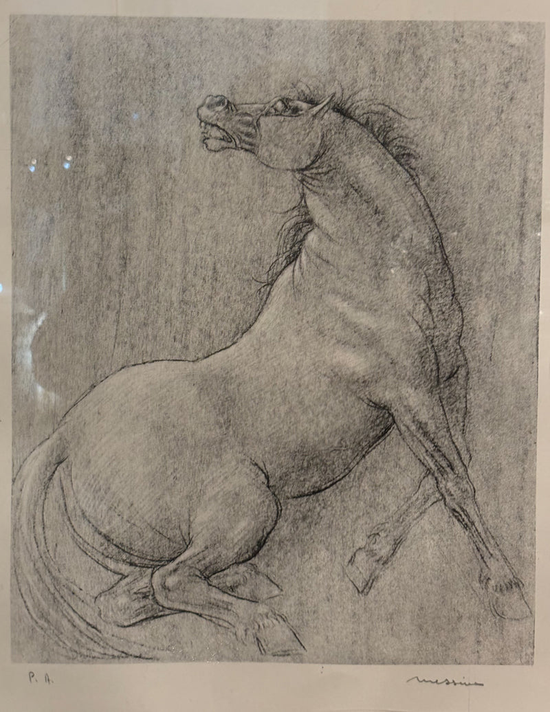 Lithograph of Horse by Francesco Messina 1960s