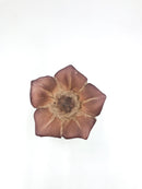 Portaprofumi in Vetro di Murano