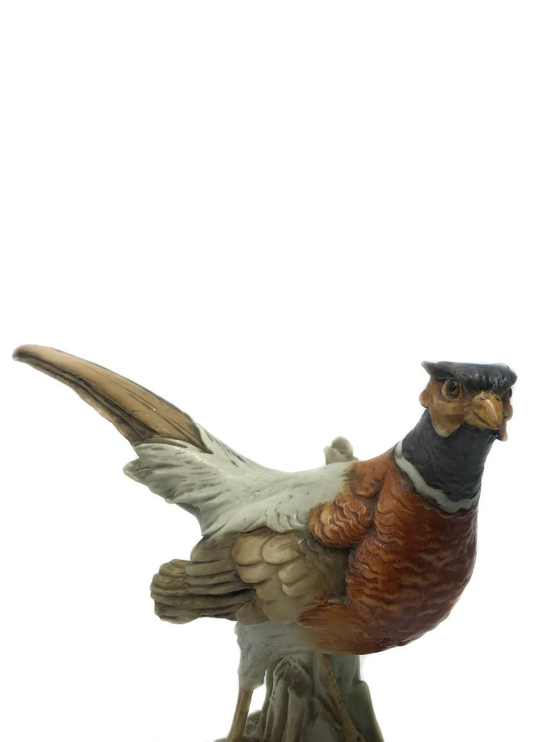 Ceramic sculpture of Pheasant by Cacciapuoti