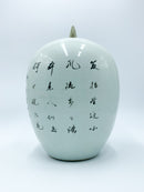 Vaso in Porcellana Cinese Dipinto a Mano dei Primi del Novecento