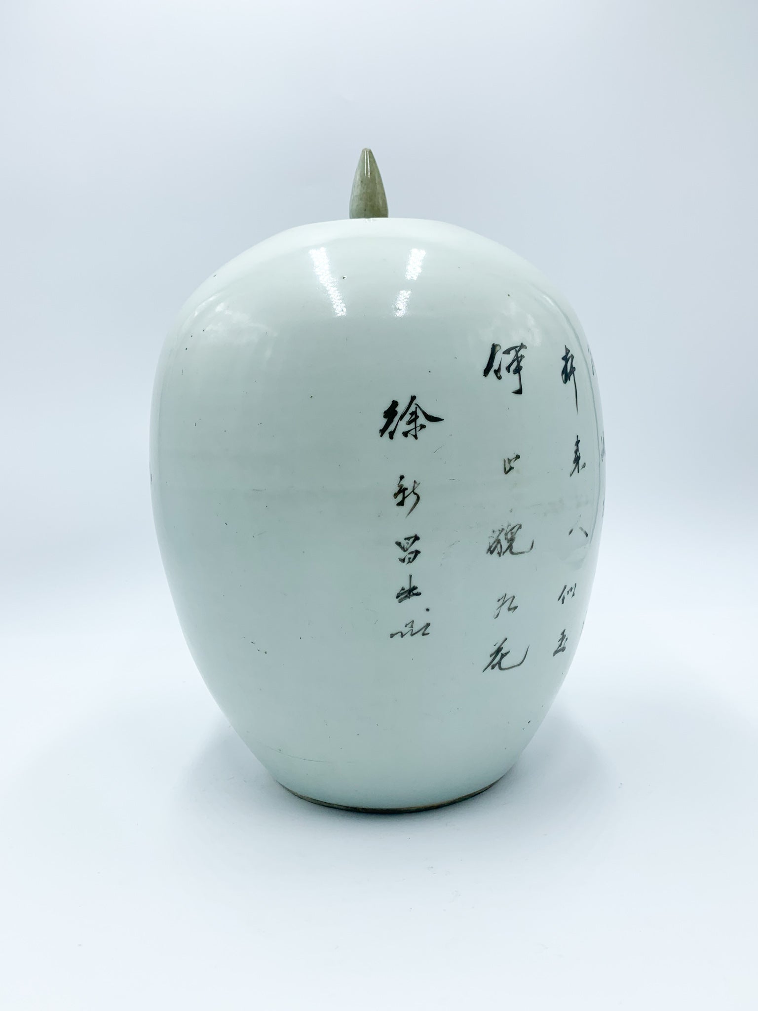 Vaso in Porcellana Cinese Dipinto a Mano dei Primi del Novecento